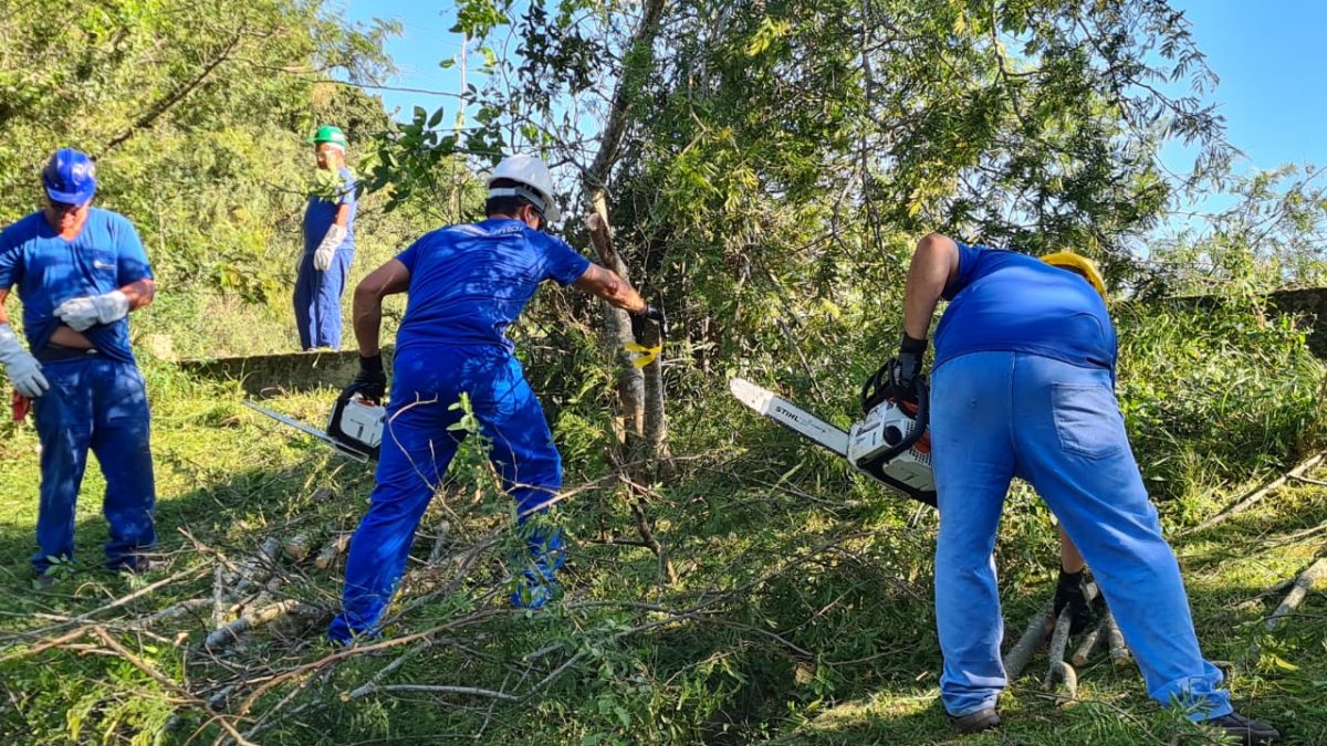 Poda E SupressÃo Vegetal Grupo Elementar 7891